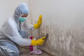 Best Asbestos and Lead Testing During Mold Inspection  in Welby, CO